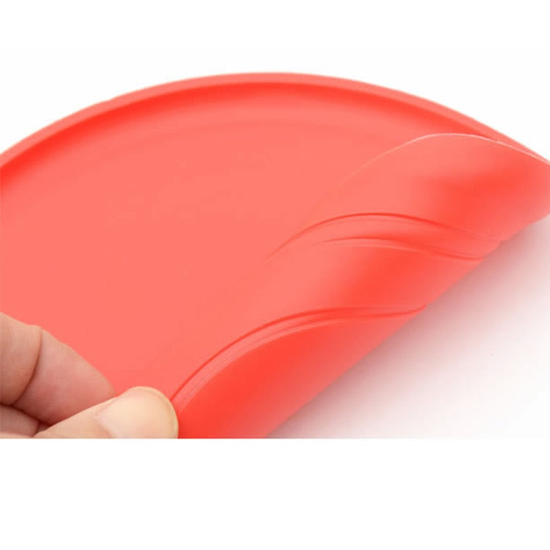 WIND - flying disc