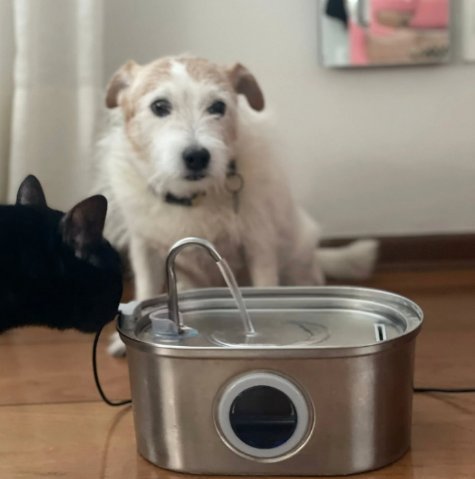 Water fountain - TIETA