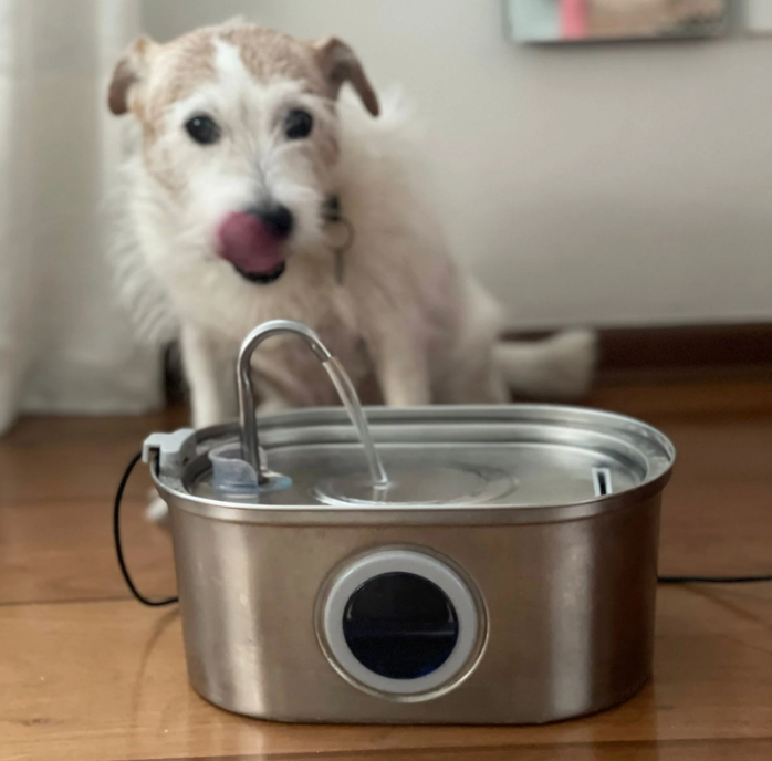 Water fountain - TIETA