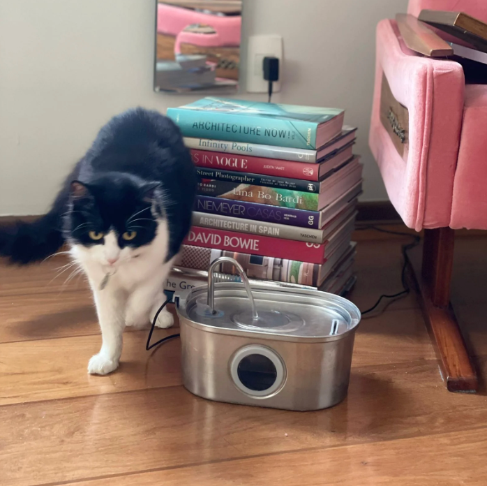 Water fountain - TIETA