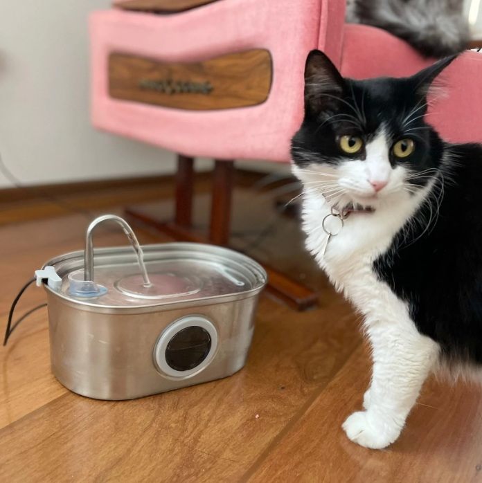 Water fountain - TIETA