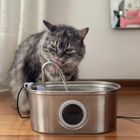 Water fountain - TIETA