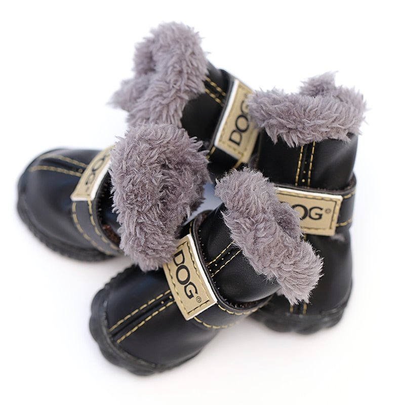 ROCCO - pet winter shoes