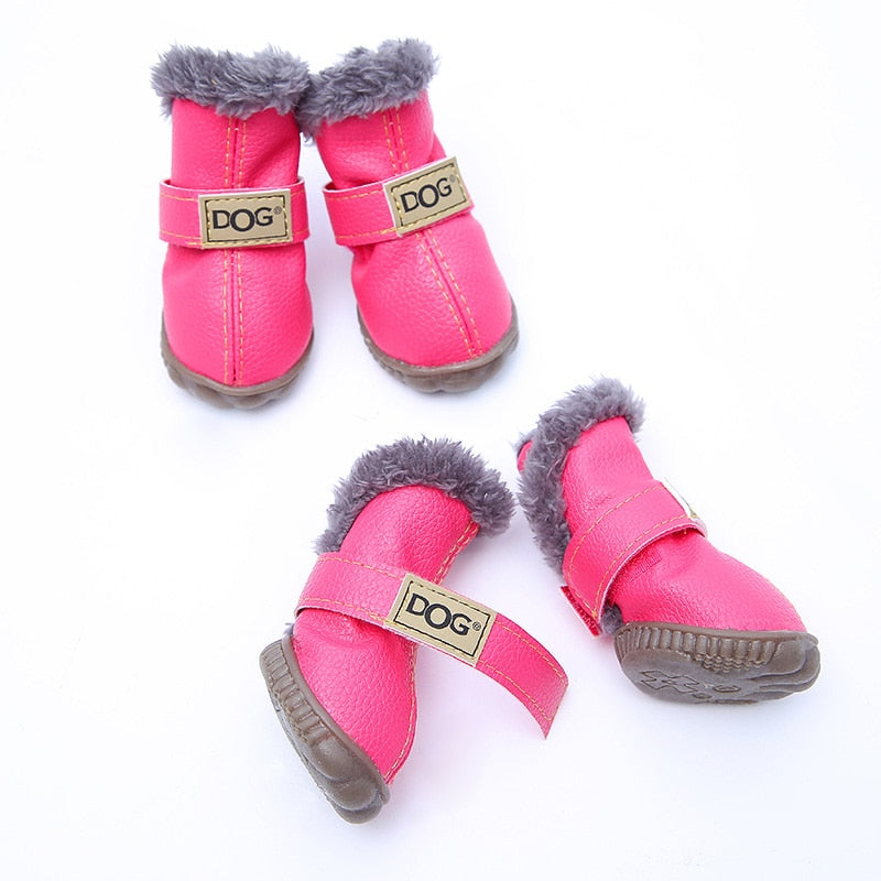 ROCCO - pet winter shoes