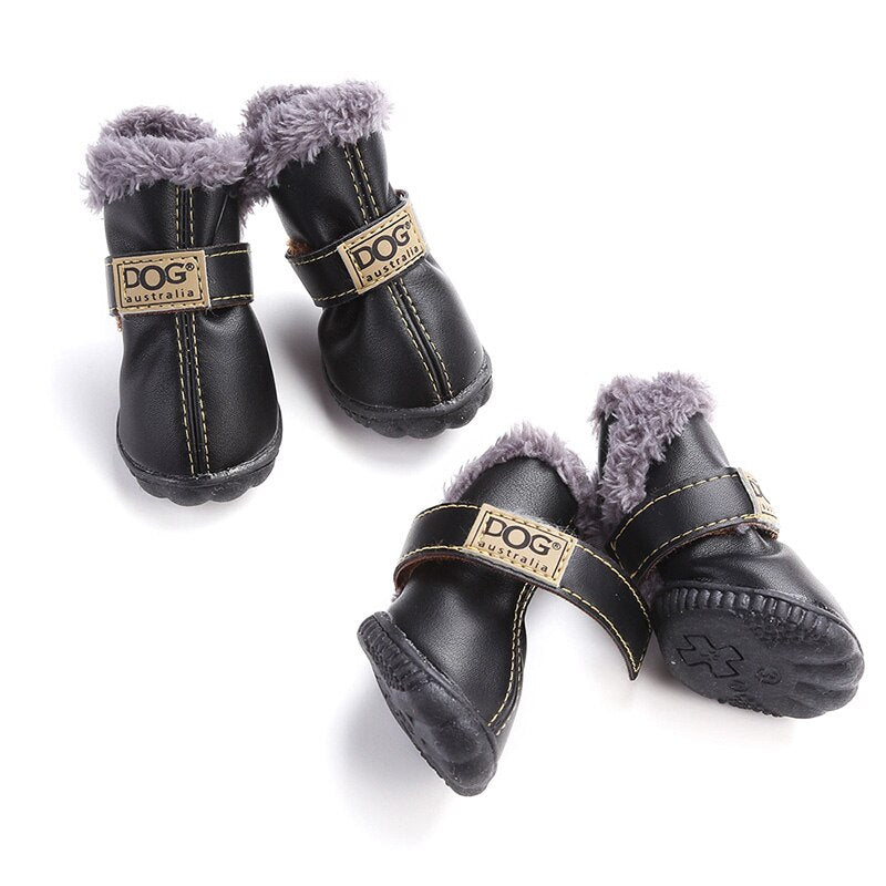 ROCCO - pet winter shoes