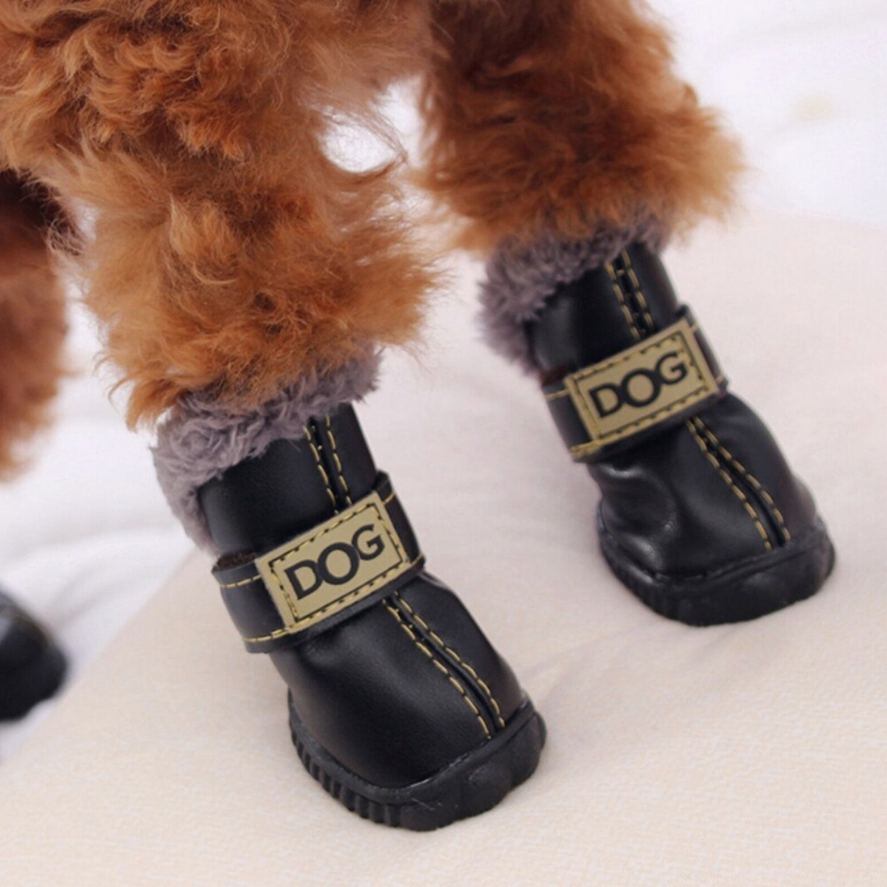 ROCCO - pet winter shoes