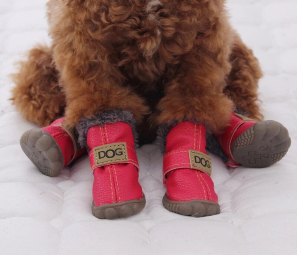 ROCCO - pet winter shoes