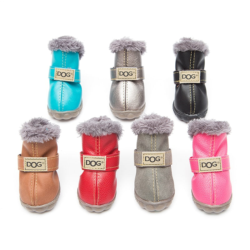 ROCCO - pet winter shoes